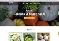 漳浦大型网站
